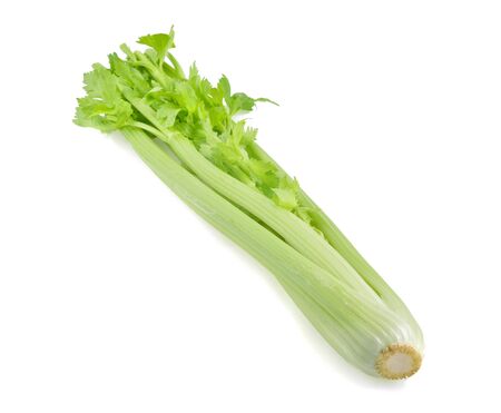 fresh celery isolated on white backgroundの写真素材