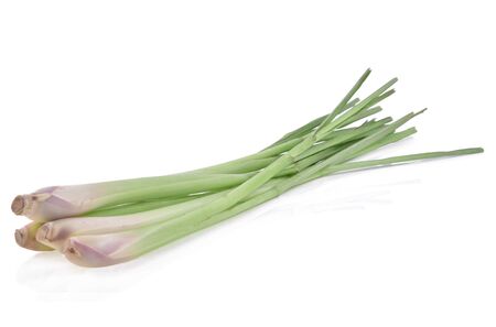 Lemon grass on a white backgroundの写真素材
