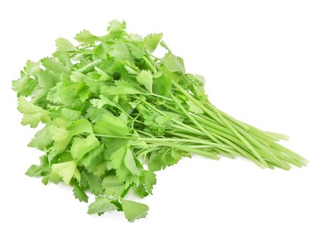 fresh Celery isolated on white backgroundの写真素材