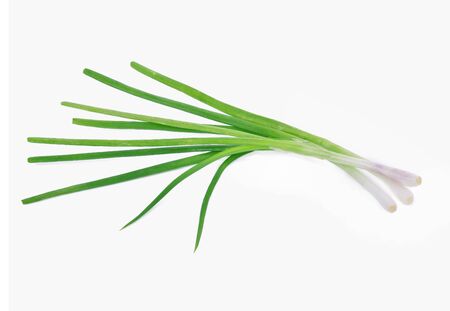 Green onion isolated on the white backgroundの写真素材