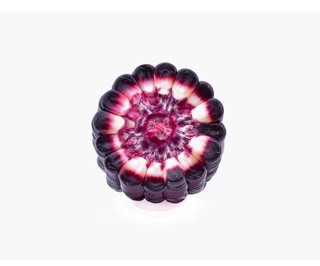 purple corn on white background
