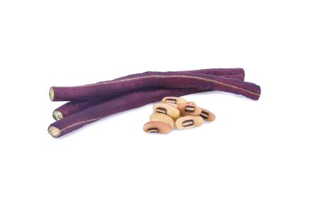 purple bean isolated on white background