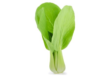 Bok choy vegetable isolated on the white background.の写真素材