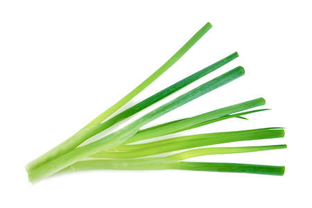 Green onion isolated on the white backgroundの写真素材