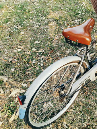 A bike in the garden.の素材