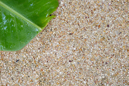 Banana leaf on wash gravel floor,use for background and textureの写真素材