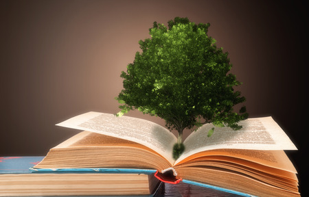 The concept of a book or a tree of knowledge with an oak tree growing from an open bookの写真素材