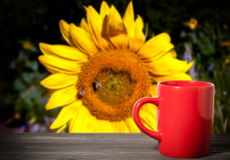 red cup on a blurred background of a sunflowerの写真素材