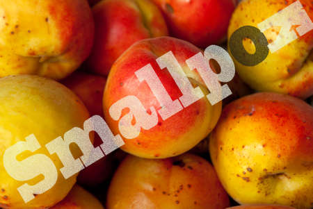 Peaches ripe affected by smallpox, black spots