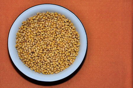 Top view of soybean in a white bowl on orange background, Closeup of soybeanの写真素材