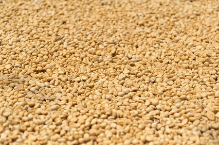 coffee beansの写真素材