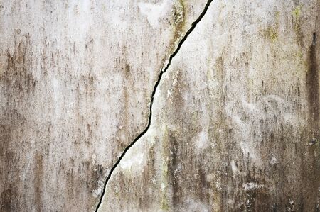 cement textureの写真素材
