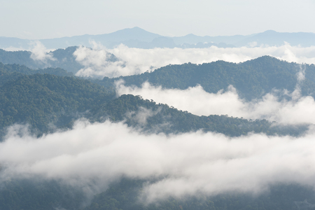 Fog and cloud mountain valley spring landscapeの写真素材