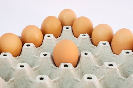 eggs panel on white background