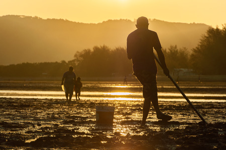 People find for shells on the beach with the sunset ; Silhouetteの写真素材
