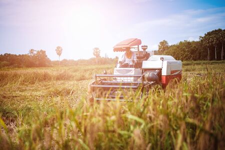 Harvesting  machine Rice  in Thailand の写真素材