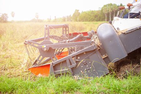 Harvesting  machine Rice  in Thailand の写真素材