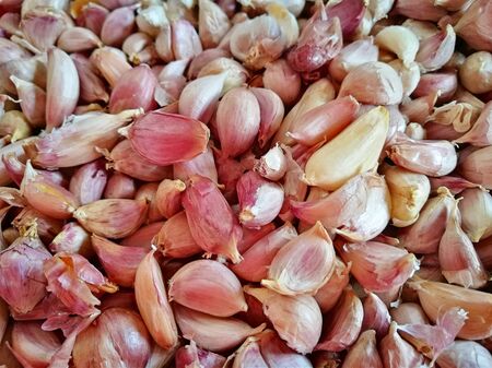 Thailand garlic with extract one by oneの写真素材