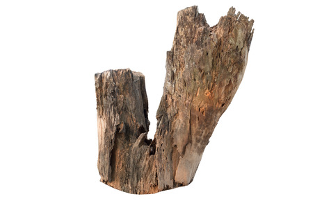 Old wooden piece for home and garden decoration on white isolateの写真素材