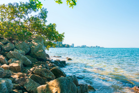 Calm Sea Ocean with tree And rocks Blue Clear Sky on sandy beach Seascape Background .の写真素材