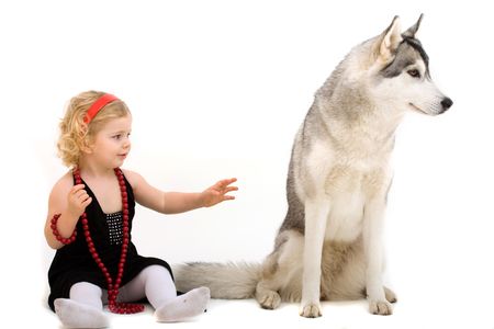 child playing with dog isolatedの写真素材