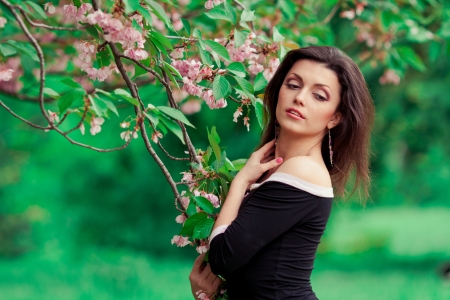 portrait of young beautiful woman in sakura treeの写真素材