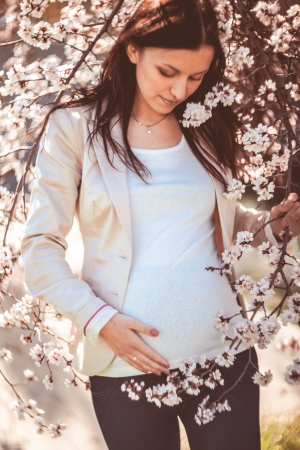 Pregnant woman in the flowering branches in the gardenの写真素材