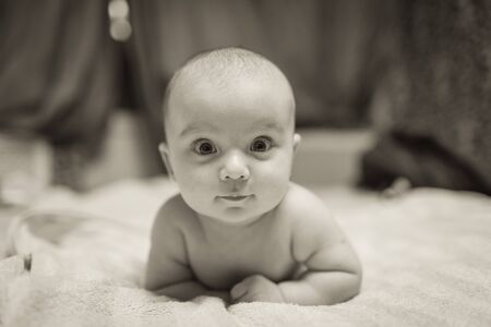 Portrait of cute little baby on blanketの写真素材