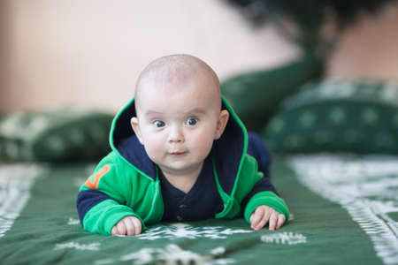 Portrait of cute little baby on christmas blanket in green suitの写真素材