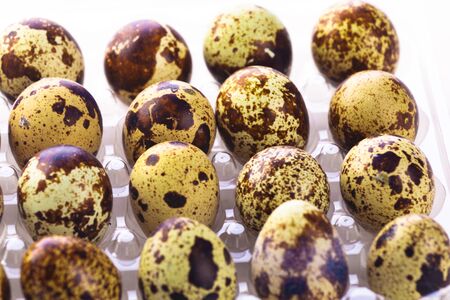 Quail eggs on white backgroundの写真素材