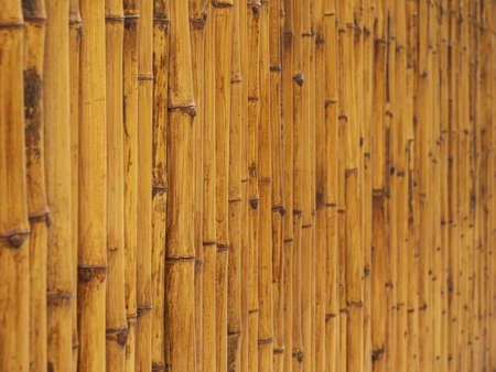 Bamboo fence background wall texture.の写真素材