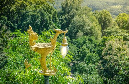 The golden swan lamp on forest Thailandの写真素材