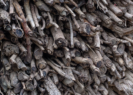 Stock pyre dry for fuel. they use for cook and make heat when cold weather texture backgroundの写真素材