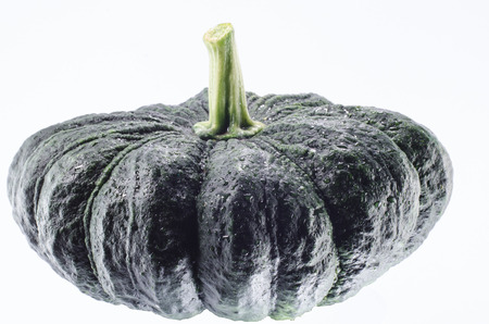 green pumpkin  on White backgroundの写真素材