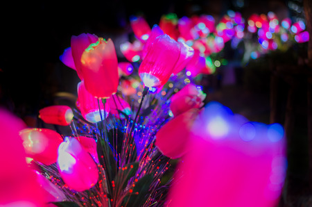 The flowers have a light nightの写真素材