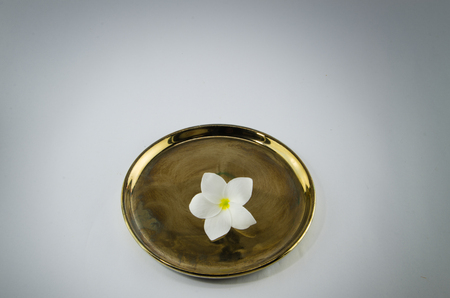 plumeria on golden plates white backgroundの写真素材