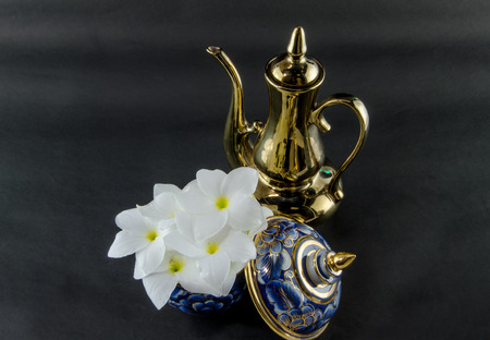 plumeria benjarong  on black backgroundの写真素材