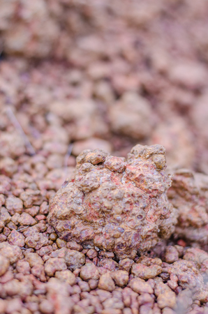 Dirt road rocks near close up