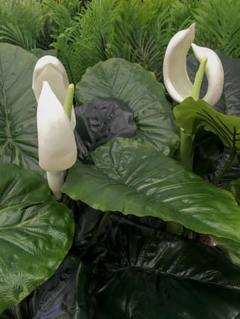 Flowers made of plastic, beautiful colors, green, red, yellow to decorate the house, office.の写真素材