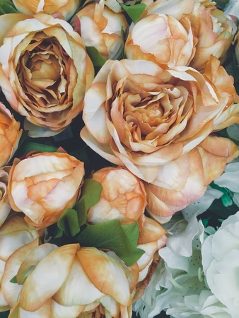 Roses, many colors, hand made beautiful Valentine.の写真素材