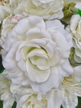 Roses, many colors, hand made beautiful Valentine.の写真素材
