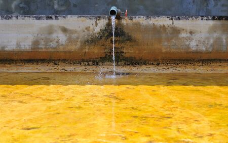 Hatchery fish for industry and consumers.の写真素材
