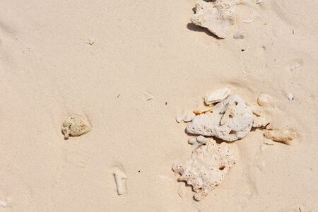 Beautiful white sand beaches, rocks and tablets.の写真素材