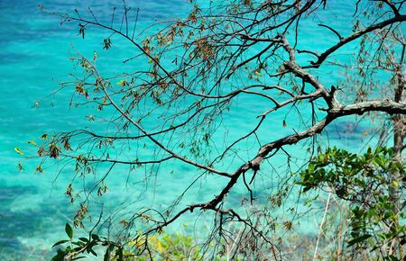 Islets, rocks, sea, beach and nature.の写真素材