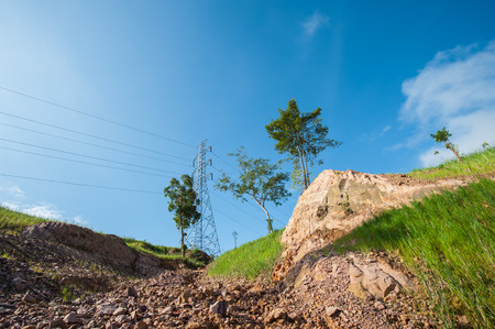 Vetiver grass to prevent soil erosion maintain and preserve the balance of nature.の写真素材