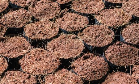 The Tillage and cultivation of plants in the soil convert.の写真素材