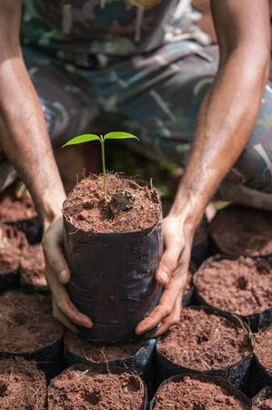 The Tillage and cultivation of plants in the soil convert.の写真素材