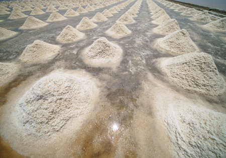 Pile of salt at the salt farm in Thailand,の写真素材