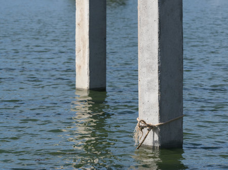 Concrete pillars in the water of a lake in a park.