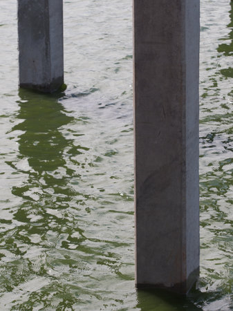 Concrete pillars in the water of a lake in a park.の写真素材
